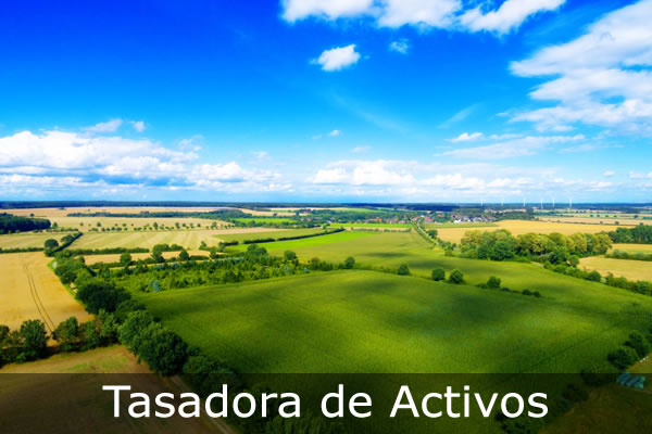 Tasadora de Activos